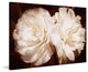 "Pretty Pair in Sepia" Painting Print on Canvas by Robertson