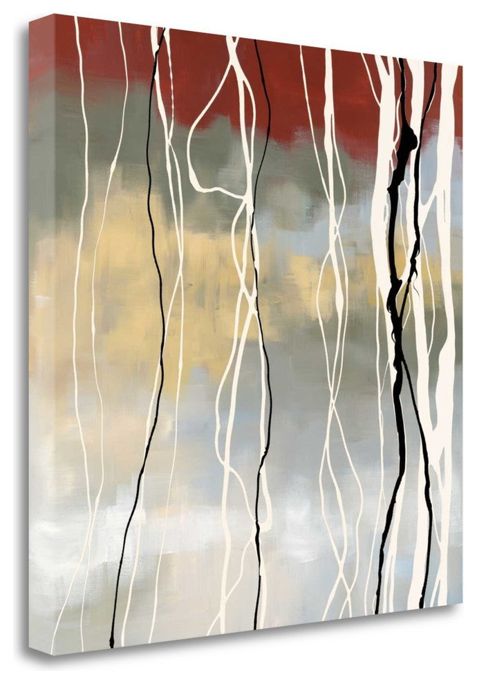 "Silver Birch I" By Laurie Maitland, Giclee Print on Gallery Wrap Canvas