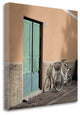 "Liguria Bicycle - 1" By Alan Blaustein, Giclee Print on Gallery Wrap Canvas
