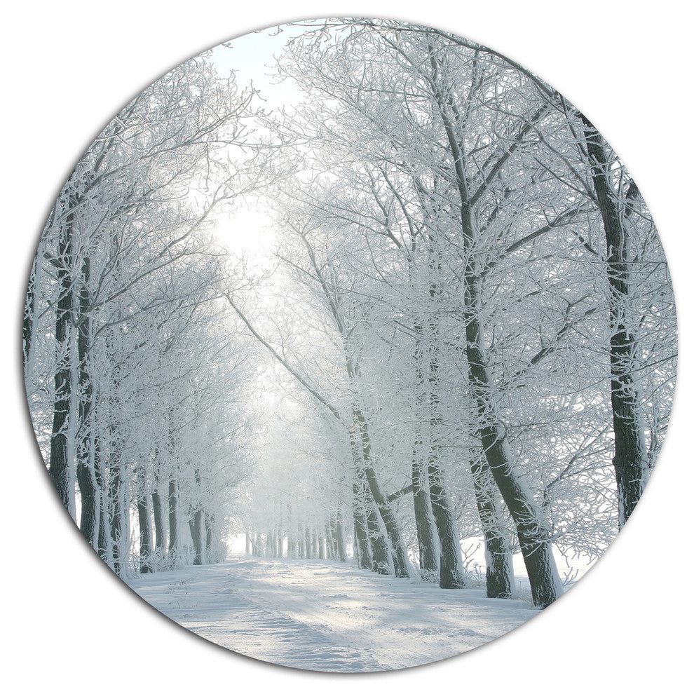 Winter Road Backlit My Morning Sun, Forest Round Metal Wall Art, 23"
