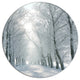Winter Road Backlit My Morning Sun, Forest Round Metal Wall Art, 23"