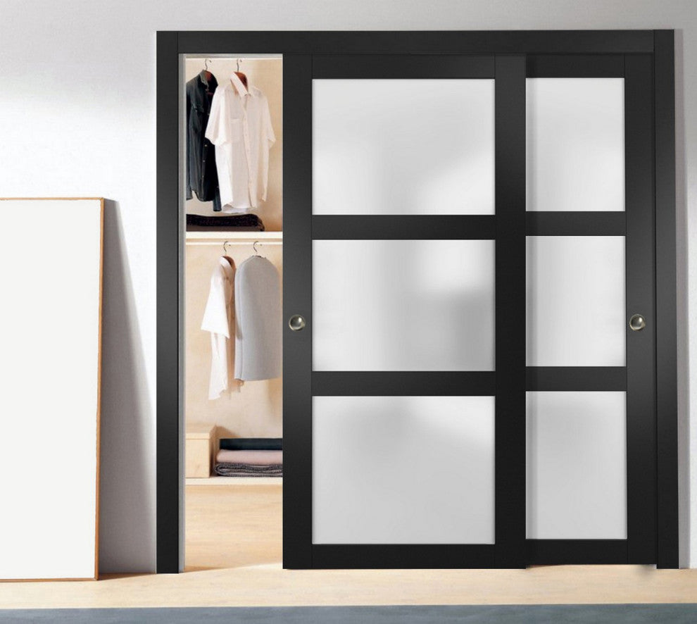 Closet Frosted Glass Bypass Doors 36 x 84, Lucia 2552 Matte Black