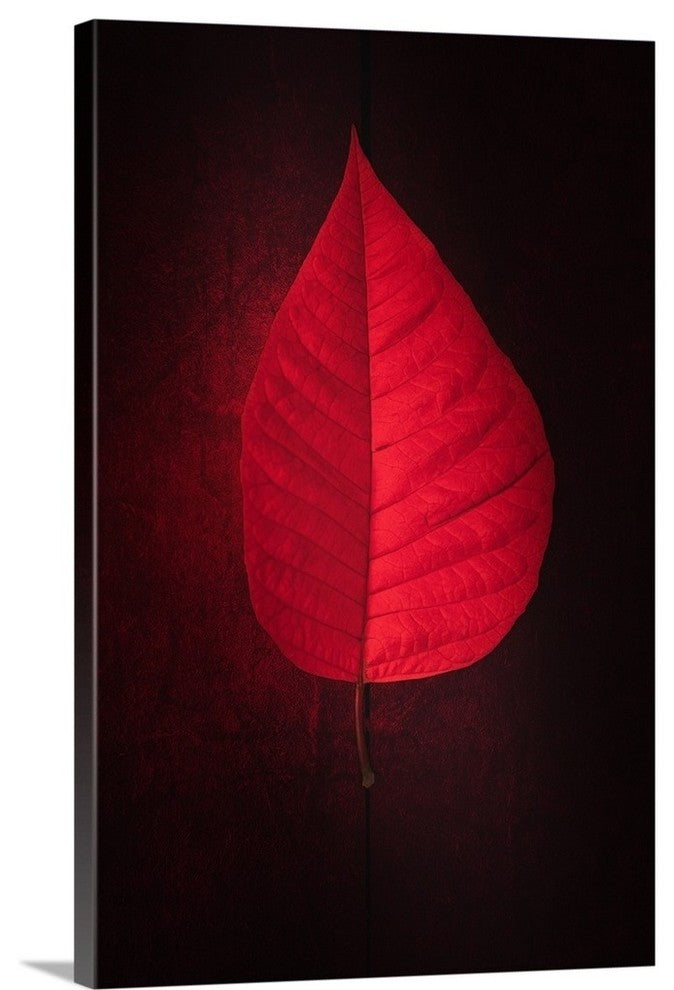 "Lipstick" Wrapped Canvas Art Print, 32"x48"x1.5"