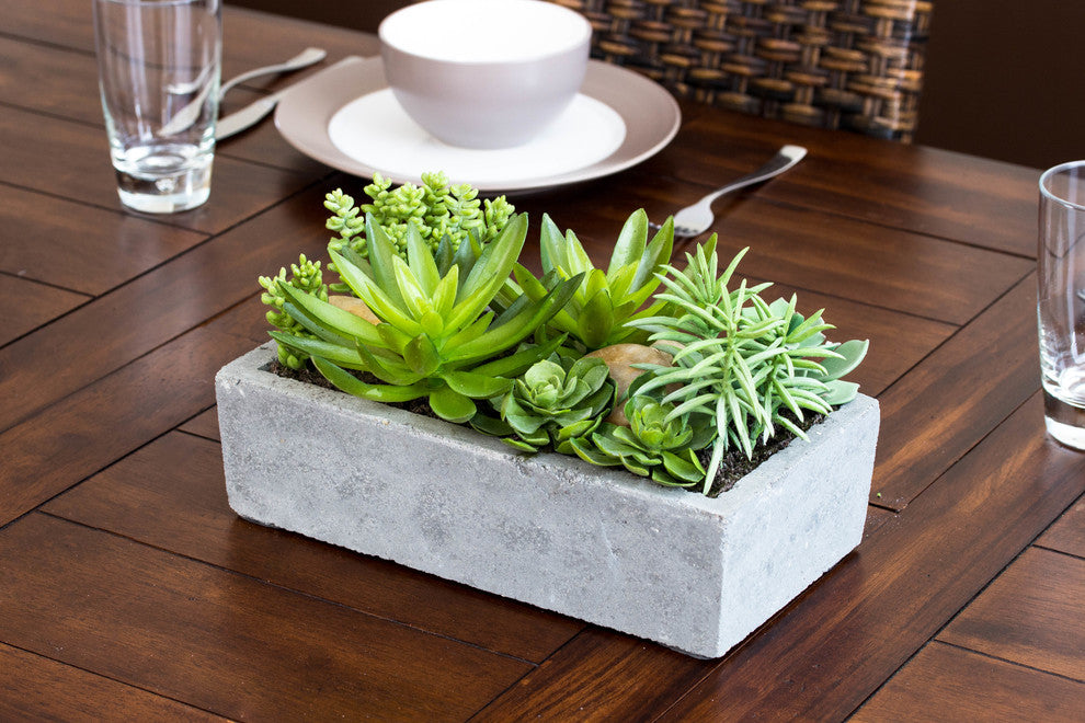 Succulent Garden With Concrete Planter, Green