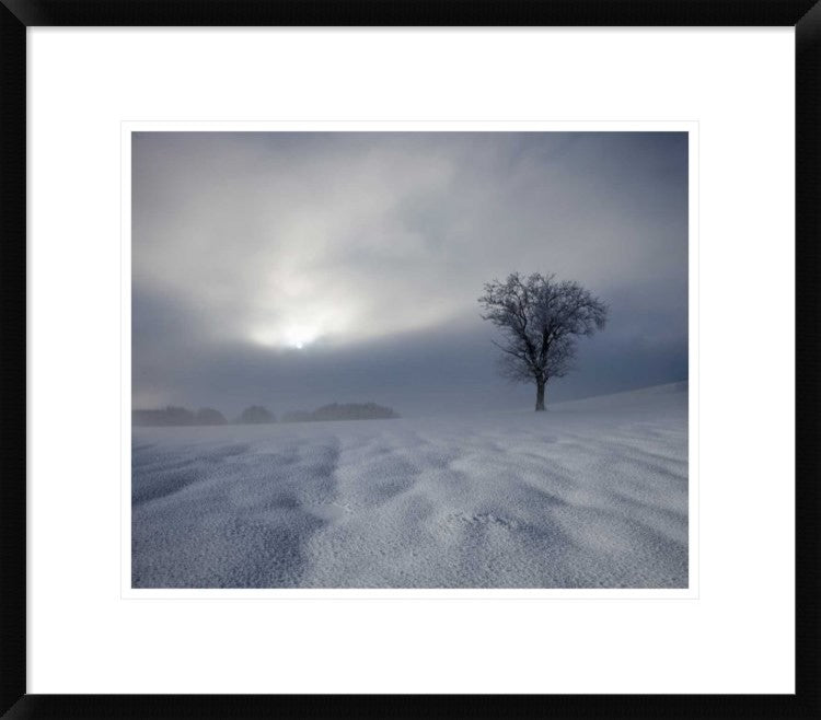 "Winter Impression" Framed Digital Print by Franz Schumacher, 24x21"