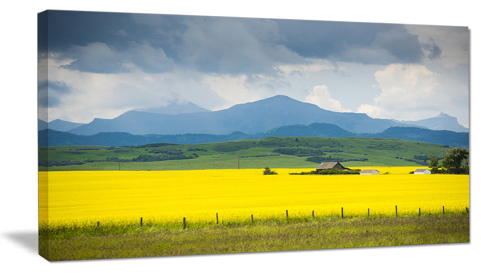 Farm House in Field Of Canola, Landscape Canvas Art Print, 60"x28"