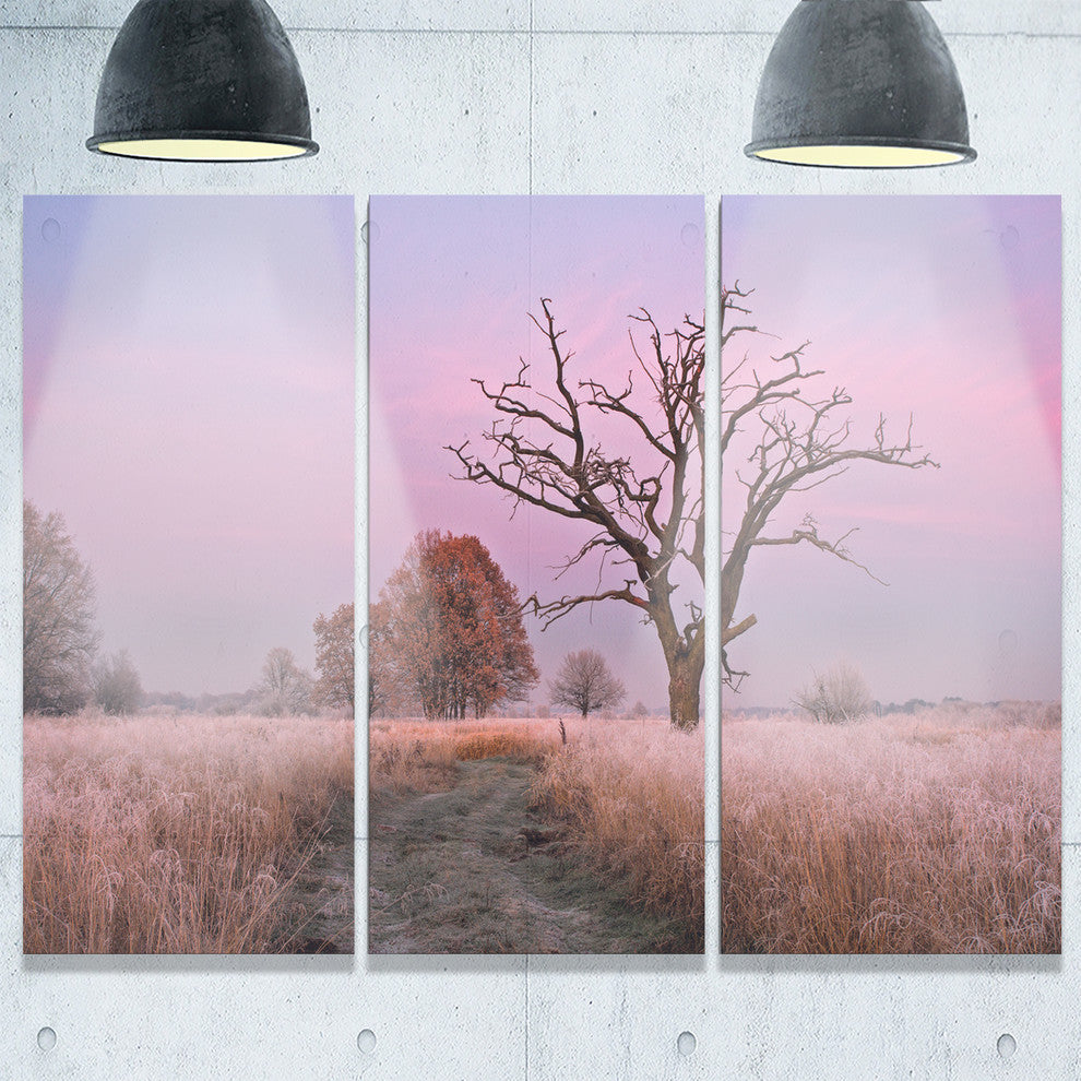 "Fairy Autumn Sunrise With Lonely Tree" Metal Wall Art, 3 Panels, 36"x28"