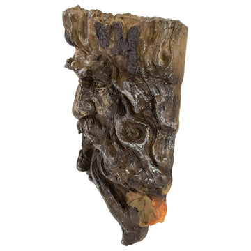 10.25" Brown Tree Face Outdoor Garden Planter