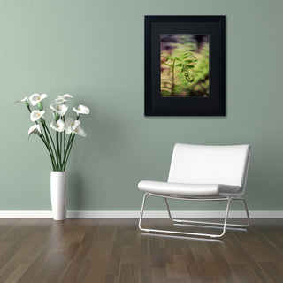 PIPA Fine Art 'Growth of the Forest Floor' Matted Framed Art, 14x11