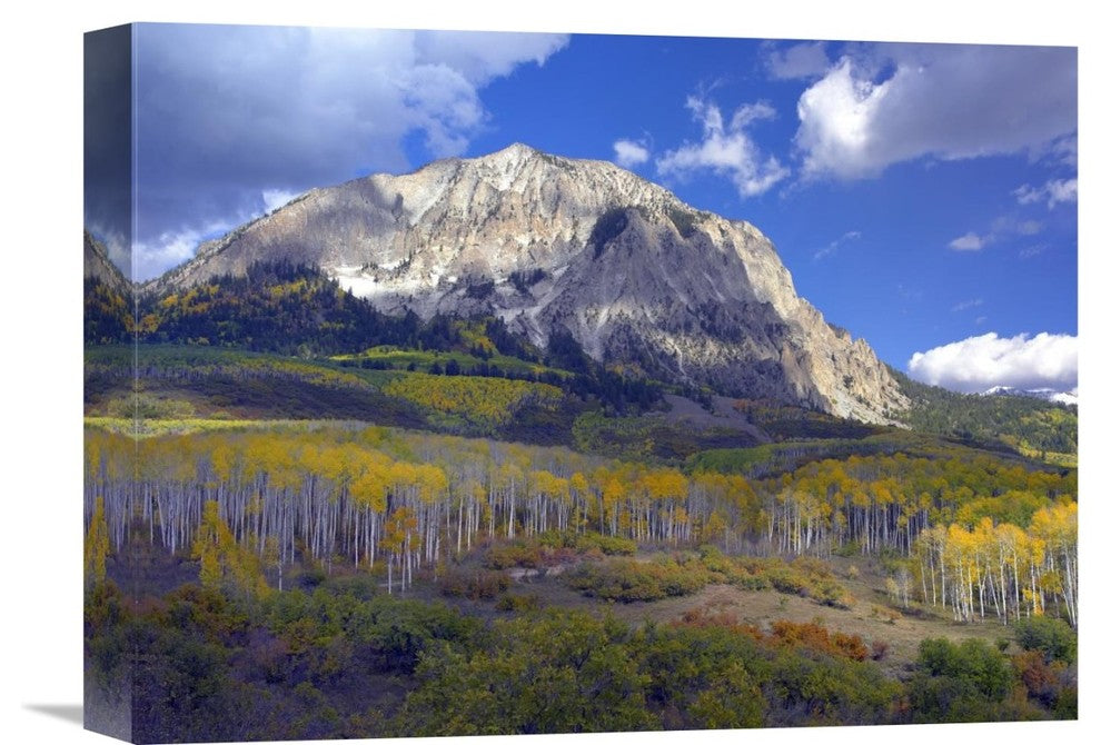 "Fall Colors At Gunnison National Forest, Colorado" Artwork, 16" x 12"