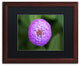 Jason Shaffer 'Purple Flower' Matted Framed Art, Wood Frame, Black Mat, 20x16