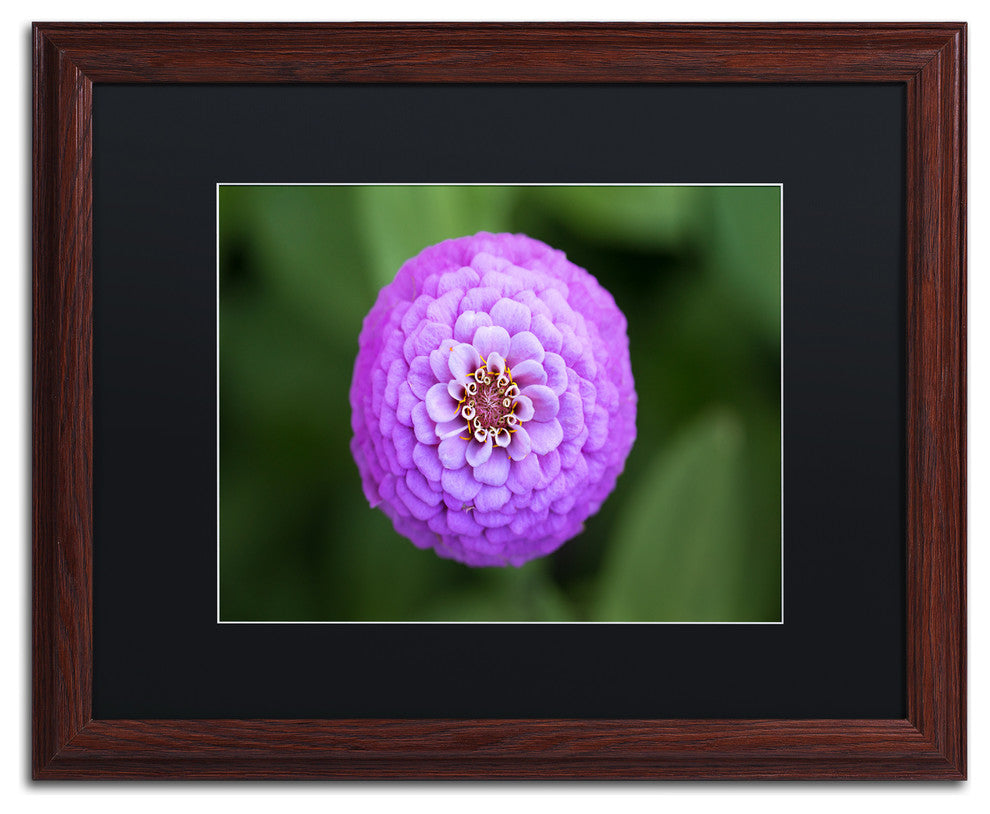 Jason Shaffer 'Purple Flower' Matted Framed Art, Wood Frame, Black Mat, 20x16
