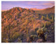 "Panther, Safford Peaks covered, Saguaro, Teddybear Cholla" Paper Art, 26"x20"