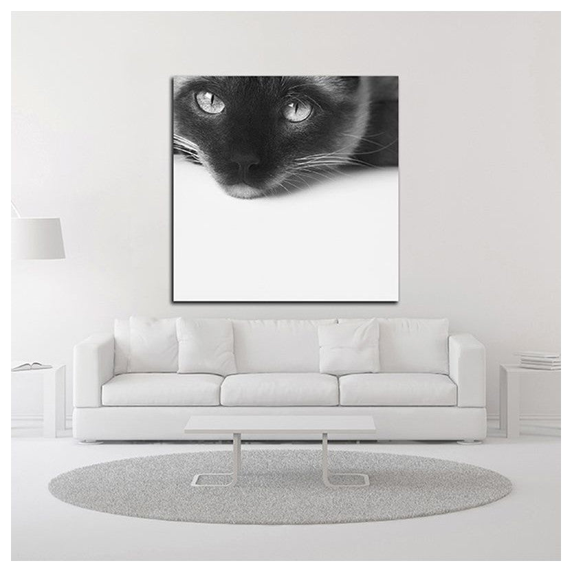 "No Stress" by Jon Bertelli, Print on Canvas, 24"x24"