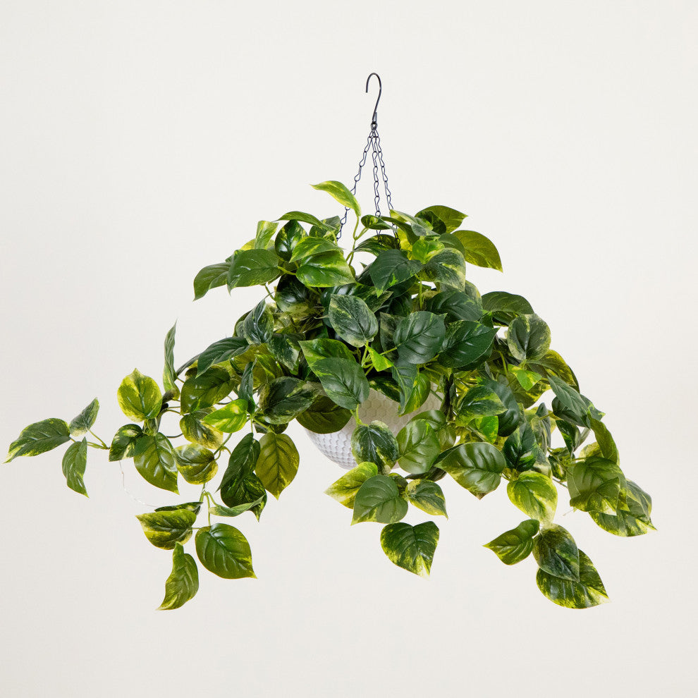 24in. Prelit UV Resistant Artificial Pothos, White Hanging Basket