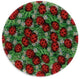 Andreas Ladybugs Jar Opener