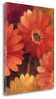 "Garden Of Gerberas III" By Albena Hristova, Giclee Print on Gallery Wrap Canvas