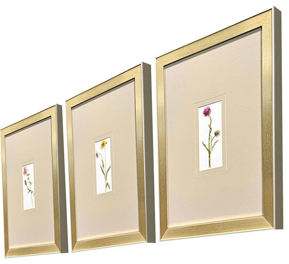 Pretty Florals I Framed Art, 3-Piece Set