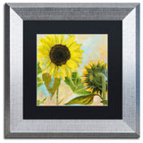 Color Bakery 'Soleil I' Matted Framed Art, Silver Frame, Black Mat, 11x11