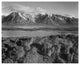 "View across river valley, Grand Teton National Park, 1941" Paper Art, 18"x15"