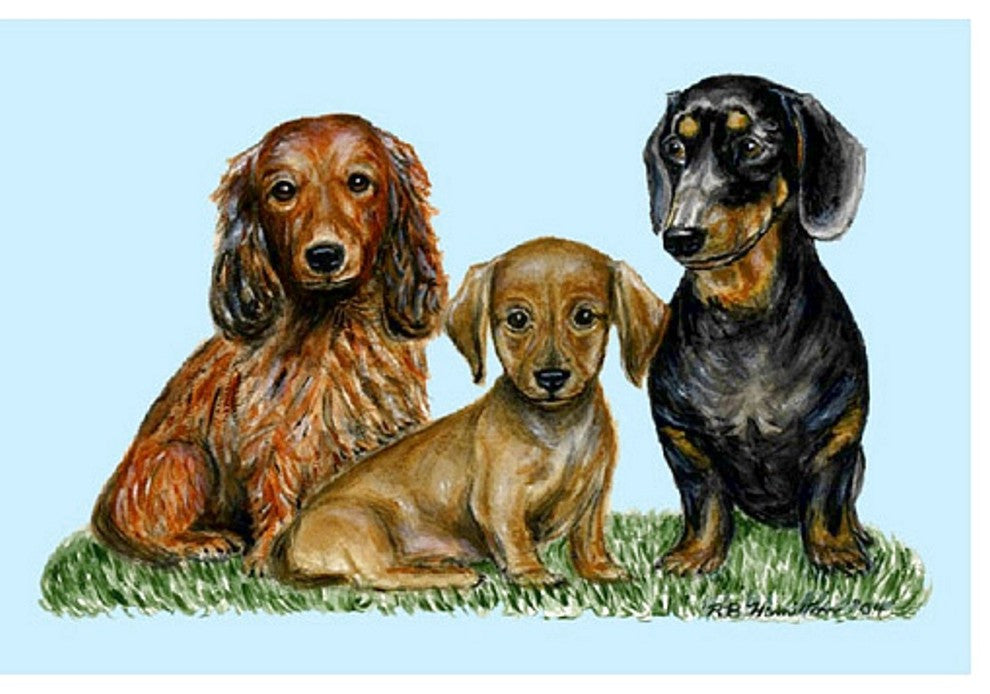 Dachshunds Door Mat 18x26
