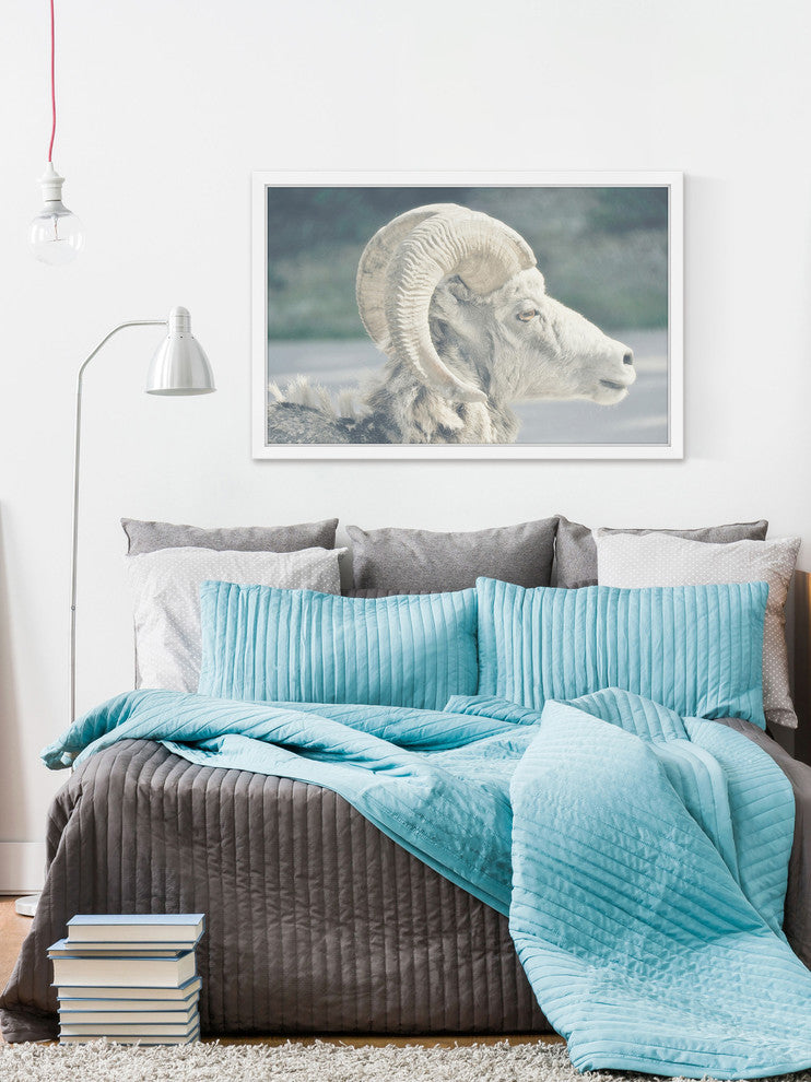 Marmont Hill, "White Curled Horns" Framed Painting Print, 18x12