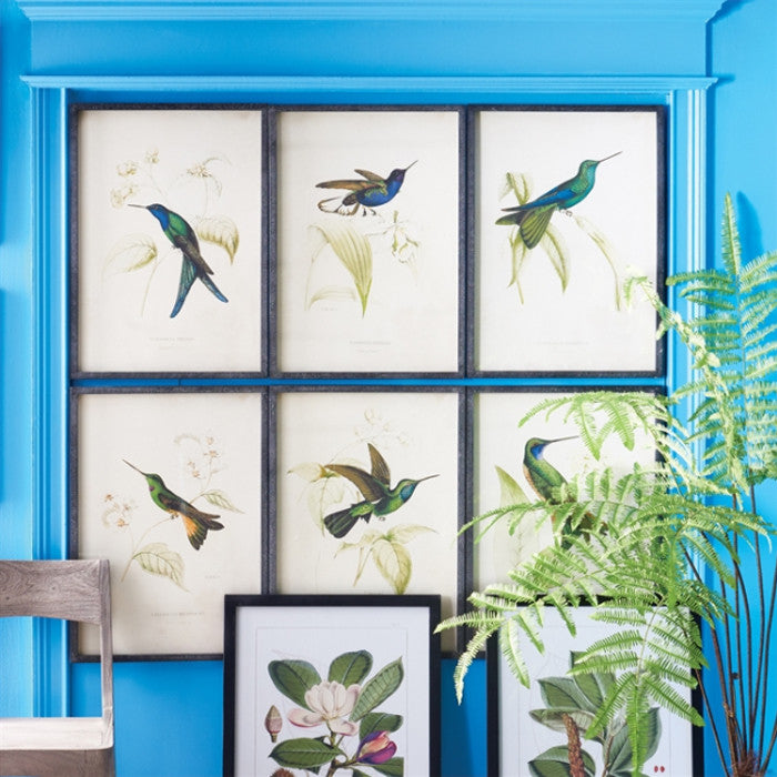 Set of 6 Vintage Style Hummingbird Prints Antique Look Blue Green Bird Botanical