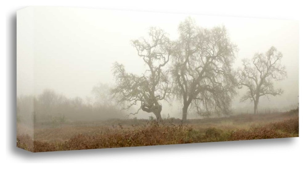 "Oak Tree - 59" By Alan Blaustein, Giclee Print on Gallery Wrap Canvas