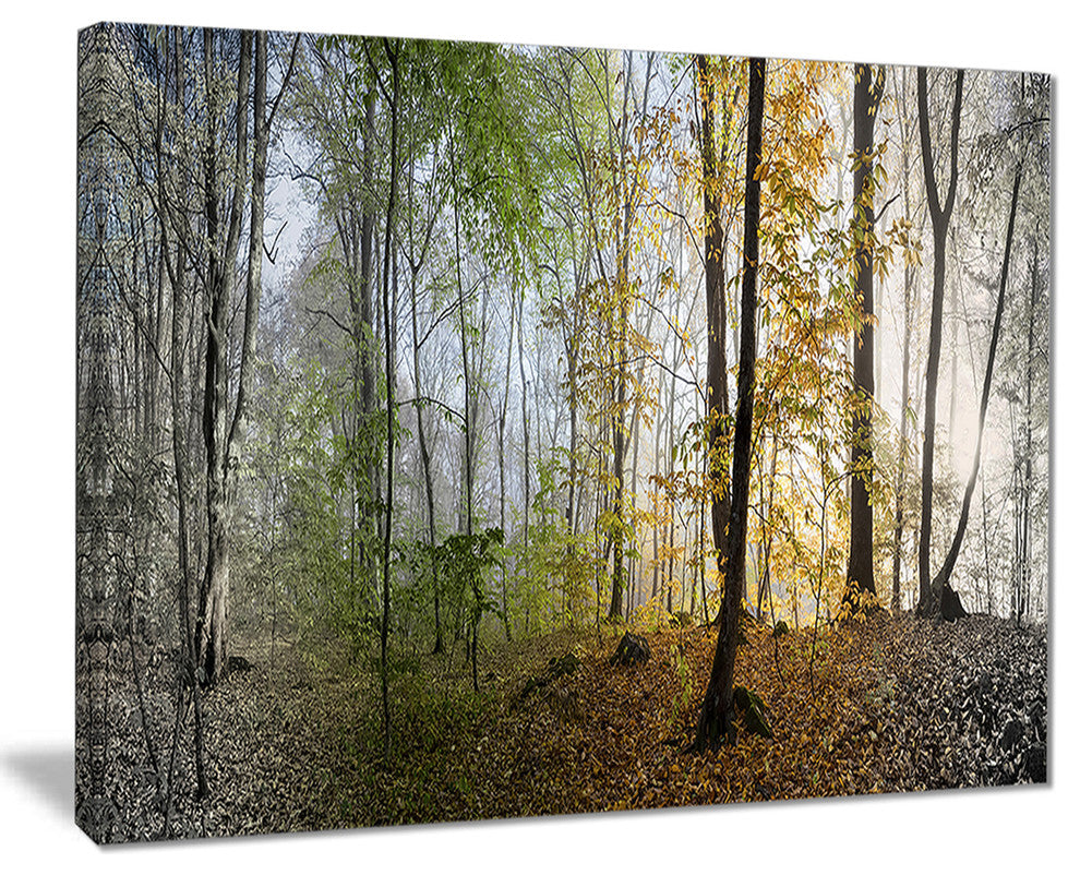 "Morning Forest Panoramic View" Canvas Print