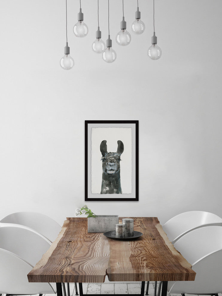 "Older Llama" Framed Painting Print, 16"x24"