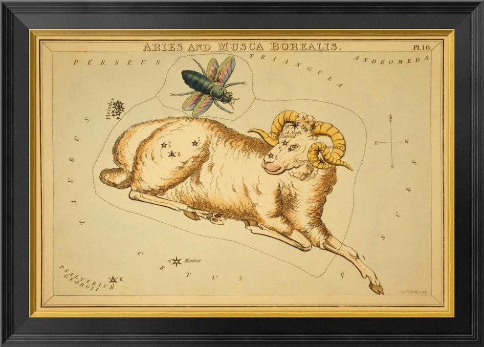 "Aries and Musca Borealis, 1825"  by Jehoshaphat Aspin, 28x20"