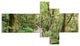 Walk Way in Deep Forest, Landscape Photo Canvas Art Print, 60"x32", 5 panels