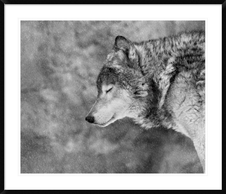 "Let It Snow" Framed Digital Print by Victoria Ivanova, 44x37"