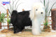 Sheep Dog Standing Stuffed Animal