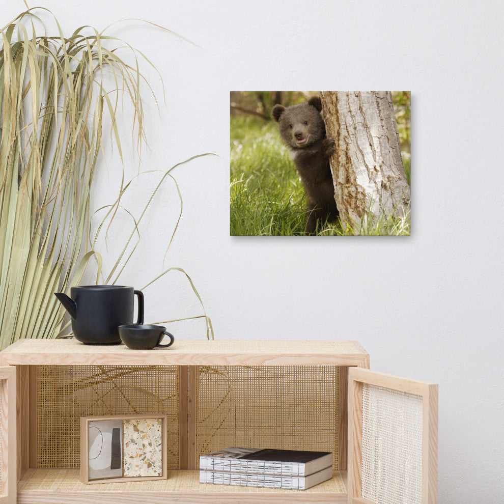Baby Grizzly Bear Cub Behind Tree In Meadow Wildlife Photo Canvas Wall Art Print, 16" X 20"