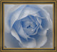 Our Original Collection Baby Blue Rose Framed Premium Canvas Print, 20"x25"