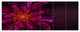 Large Pink Alien Fractal Flower, Floral Canvas Art Print, 70"x28", 6 Panels