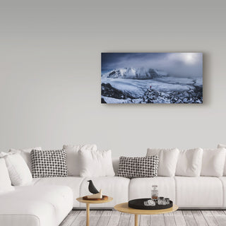 Carlos F Turienzo 'Wanderer Snow' Canvas Art, 24"x12"