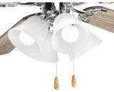 Fan Light Kit