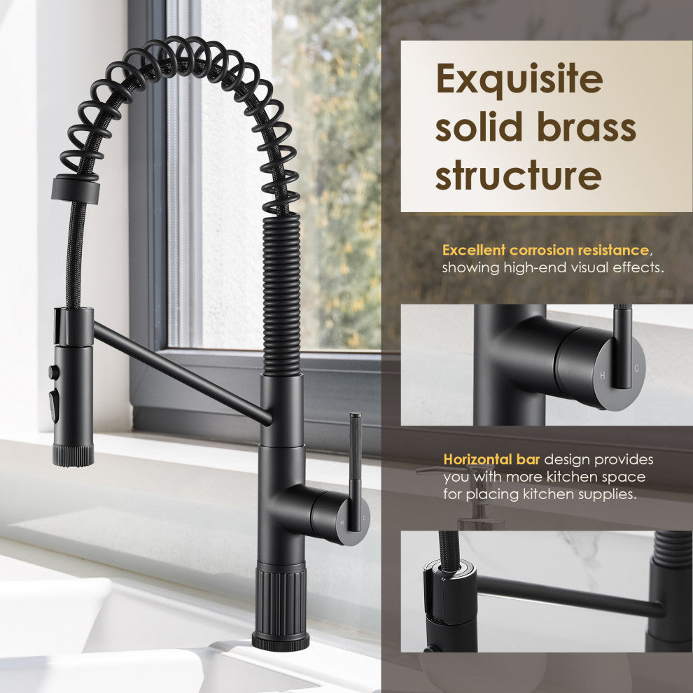 Nette Single-Handle Kitchen Faucet With Pull Down Sprayer, Matte Black