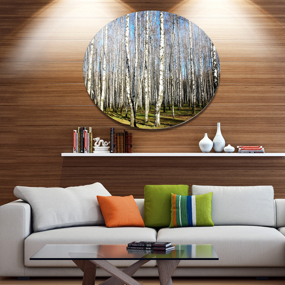 Sunny Autumn Birch Grove, Modern Forest Disc Metal Artwork, 23"