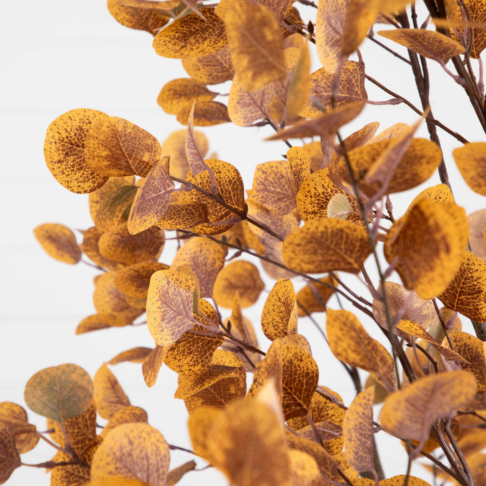 Close-up on the orange leaves against white background.