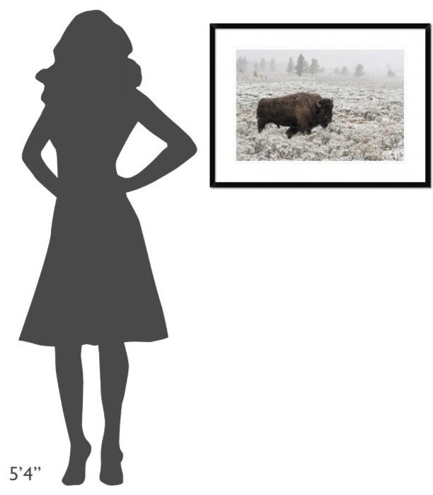 "Late Fall Yellowstone" Framed Digital Print by Alfred Forns, 32x24"
