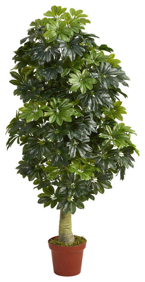 5' Schefflera Artificial Tree, Real Touch