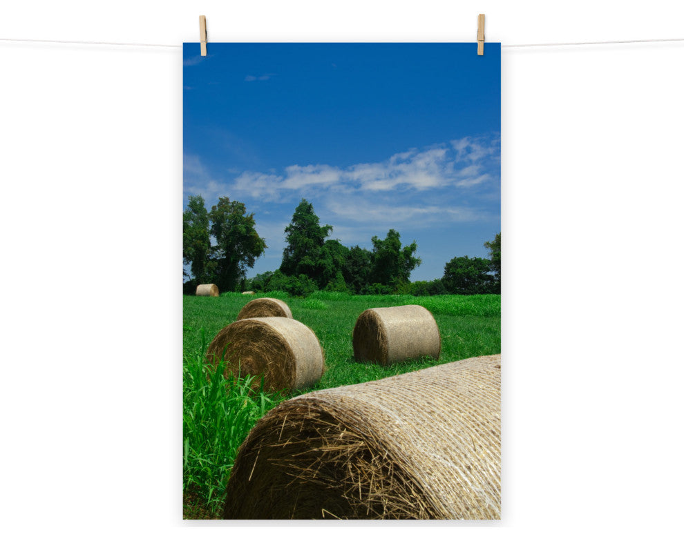 Hay Whatcha Doin in the Field Rural Unframed Wall Art Print, 16" X 20"