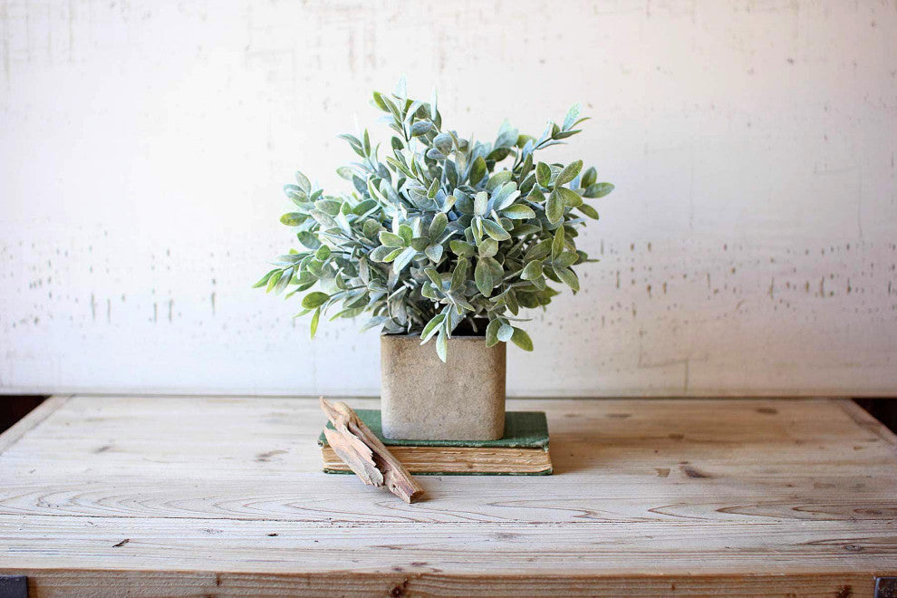 Artificial Sage Bush In a Square Pot