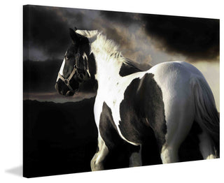 "Halo" Print on Canvas by Maggie Dee