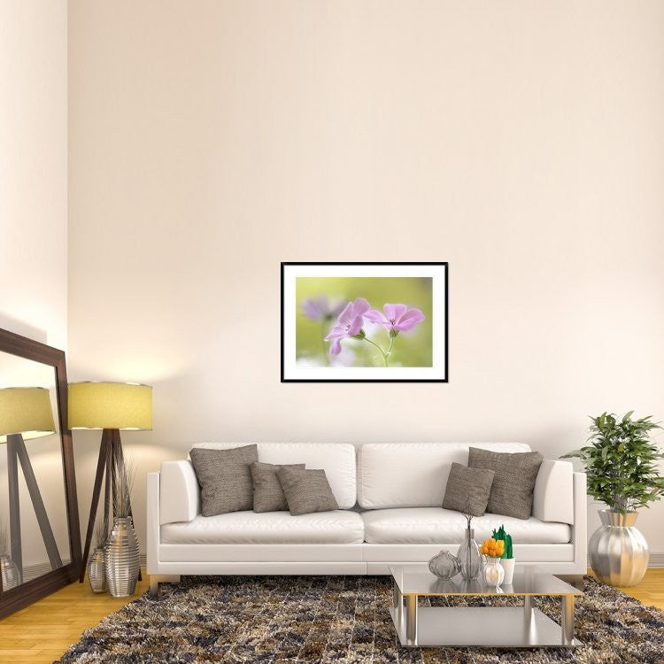 "Pink Melody" Framed Digital Print by Mandy Disher, 44x32"