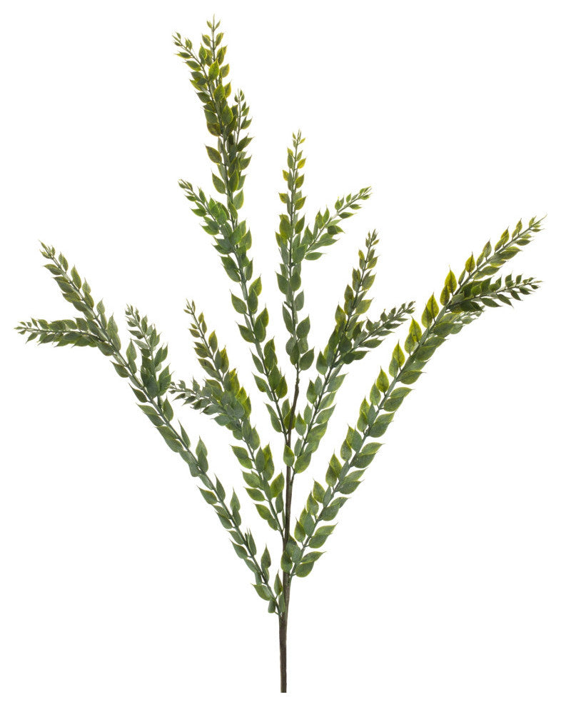 Knife Blade Eucalyptus Spray, Set of 6