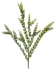Knife Blade Eucalyptus Spray, Set of 6